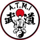 ATMI Fédération